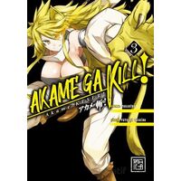 Akame, Keser 3 - Takahiro - Athica Yayınları