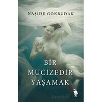 Bir Mucizedir Yaşamak - Naşide Gökbudak - Nemesis Kitap