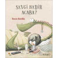 Sevgi Nedir Acaba? - Rocio Bonilla - Günışığı Kitaplığı
