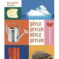 Şöyle Şeyler Böyle Şeyler - Bernadette Gervais - Hep Kitap