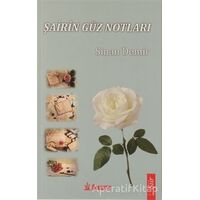 Şairin Güz Notları - Sinan Demir - Dramatik Yayınları