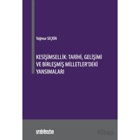 Kesişimsellik: Tarihi, Gelişimi ve Birleşmiş Milletlerdeki Yansımaları