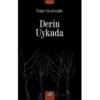 Derin Uykuda - Tolga Suyolcuoğlu - İzan Yayıncılık