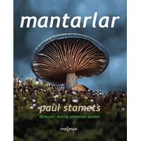 Mantarlar - Paul Stamets - Yeni İnsan Yayınevi