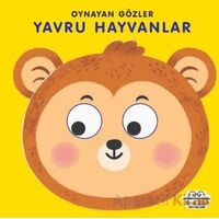 Yavru Hayvanlar - Oynayan Gözler - Kolektif - 0-6 Yaş Yayınları