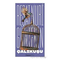Çalıkuşu - Reşat Nuri Güntekin - İnkılap Kitabevi