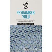 Peygamber Yolu - Burhan Bozgeyik - Çığır Yayınları