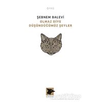 Olmaz Diye Düşündüğümüz Şeyler - Şebnem Balevi - Alakarga Sanat Yayınları