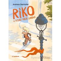 Riko ve Gizemli Sokak Lambası - Andreas Steinhöfel - Tudem Yayınları
