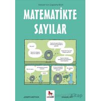 Matematikte Sayılar – Gençler İçin Çizgilerle Bilim - Samuel Hiti - Almidilli