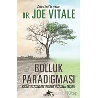 Bolluk Paradigması - Joe Vitale - Pegasus Yayınları