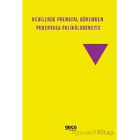 Kedilerde Prenatal Dönemden Pubertasa Folikülogenezis - Ömer Korkmaz - Gece Kitaplığı