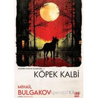 Köpek Kalbi - Mihail Bulgakov - Dokuz Yayınları