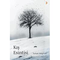 Kış Esintisi - Ferhat Adıgüzel - Cinius Yayınları