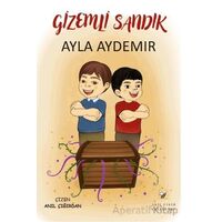 Gizemli Sandık - Ayla Aydemir - Akıl Fikir Yayınları