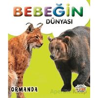 Bebeğin Dünyası Ormanda - Kollektif - 0-6 Yaş Yayınları