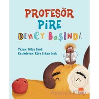 Profesör Pire Deney Başında - Nilay Şanlı - Uçan Fil Yayınları