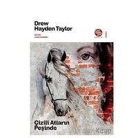 Çizili Atların Peşinde - Hayden Taylor - Sahi Kitap
