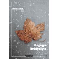 Soğuğu Beklerken - Cantürk Coşkun - Ayışığı Kitapları