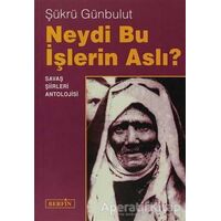 Neydi Bu İşlerin Aslı? - Şükrü Günbulut - Berfin Yayınları