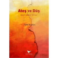Ateş ve Düş: Şeyh Gâlib’e Şiirler - Fahri Kaplan - Günce Yayınları