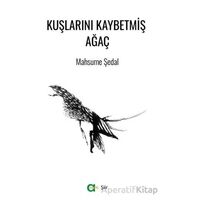 Kuşlarını Kaybetmiş Ağaç - Mahsume Şedal - Aram Yayınları