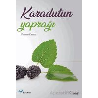 Karadutun Yaprağı (Mebrure) - Nursen Demir - Başka Yerler Yayınları