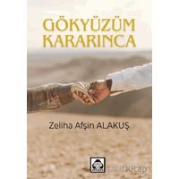 Gökyüzüm Kararınca - Zeliha Afşin Alakuş - Alan Yayıncılık