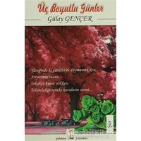 Üç Boyutlu Günler - Gülay Gençer - Palmiye Kitapları