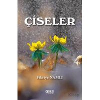 Çiseler - Fikriye Namlı - Gece Kitaplığı
