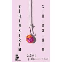 Zihinkırım - Çağdaş Çelik - Edebiyatist