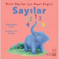 Minik Kâşifler için Hayat Bilgisi - Sayılar - Mukaddes Kutlu - Ketebe Çocuk