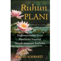 Ruhun Planı - Robert Schwartzman - Destek Yayınları