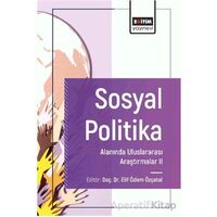 Sosyal Politika Alanında Uluslararası Araştırmalar II