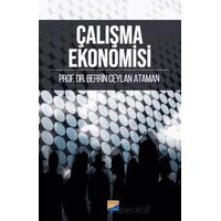 Çalışma Ekonomisi - Berrin Ceylan Ataman - Siyasal Kitabevi