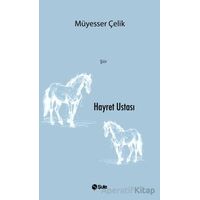 Hayret Ustası - Müyesser Çelik - Şule Yayınları