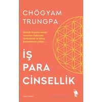 İş Para Cinsellik - Chögyam Trungpa - Nemesis Kitap