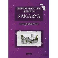 Benim Şahane Şehrim Sakarya - Süreyya Yazıcı Orcan - Değişim Yayınları