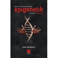 Şiddet ve Tecavüz Tarihine Epigenetik Yaklaşım Dün/Bugün - Denis Dreisbusch - Somut Yayınları