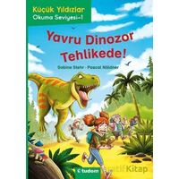 Küçük Yıldızlar: Yavru Dinozor Tehlikede! - Sabine Stehr - Tudem Yayınları