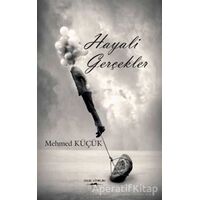 Hayali Gerçekler - Mehmed Küçük - Sokak Kitapları Yayınları