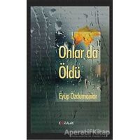 Onlar da Öldü - Eyüp Özdumanlar - Kozalak Yayınevi