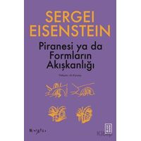 Piranesi ya da Formların Akışkanlığı - Sergey M. Eisenstein - Ketebe Yayınları