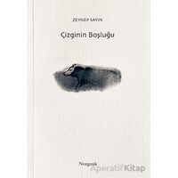 Çizginin Boşluğu - Zeynep Sayın - Norgunk Yayıncılık