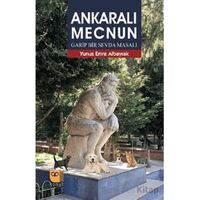 Ankaralı Mecnun - Yunus Emre Albayrak - Somut Yayınları
