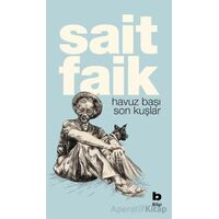 Havuz Başı Son Kuşlar - Sait Faik Abasıyanık - Bilgi Yayınevi