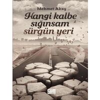 Hangi Kalbe Sığınsam Sürgün Yeri - Mehmet Akay - Şiirden Yayıncılık