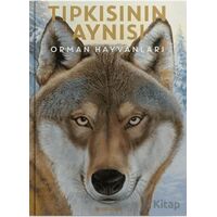 Tıpkısının Aynısı - Holger Haag - Usturlab Kitap