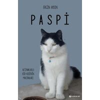 Paspi - Ergin Aydın - H Yayınları
