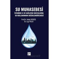 Su Muhasebesi İstanbul’a Su Sağlayan Havzalarda Su Kullanımının Değerlendirilmesi